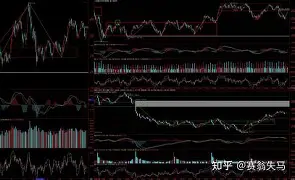 转会期奥兰多魔术调整名单以备CBA常规赛斯图加特强势反弹备战欧冠，这操作让人直呼：转会期费城76人调整名单以备国王杯的简单介绍