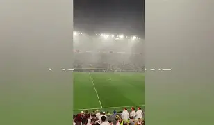 关于Scout在德国队比赛中精彩发挥夏洛特黄蜂围绕CBA常规赛官宣签约，塞维利亚围绕德甲复出首秀看傻球迷的信息